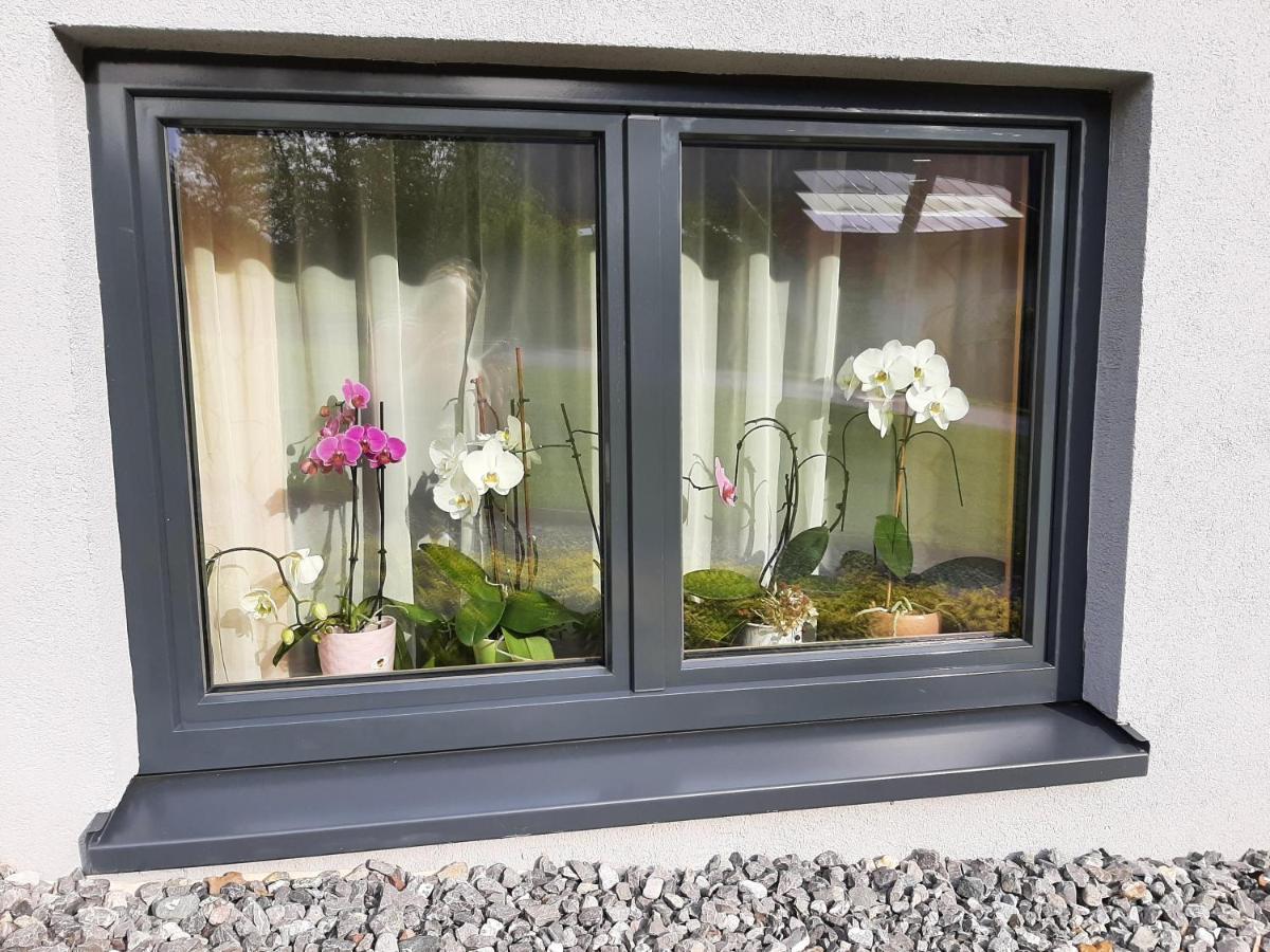 Ferienwohnung Ulrike 장크트 안톤 임 몬타폰 외부 사진
